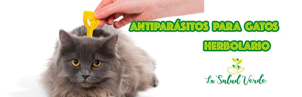 Antiparásitos y Repelentes Naturales | Herbolario de Mascotas | GATOS