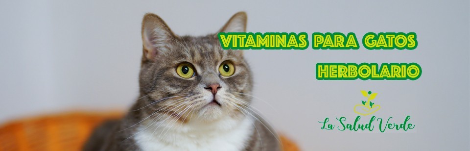 Vitamines i Minerals per a GATS | Herbolari Mascotes | Compra Ara