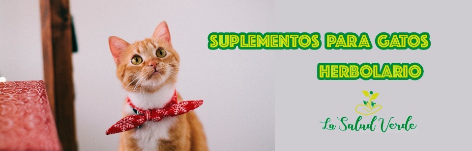 Suplementos Nutricionales para Gatos | Herbolario para Mascotas