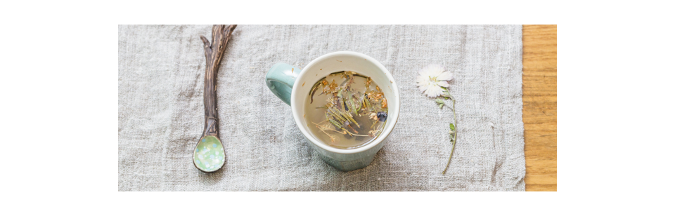 Herbal teas and plants to take care of your health | Herbalist Online
